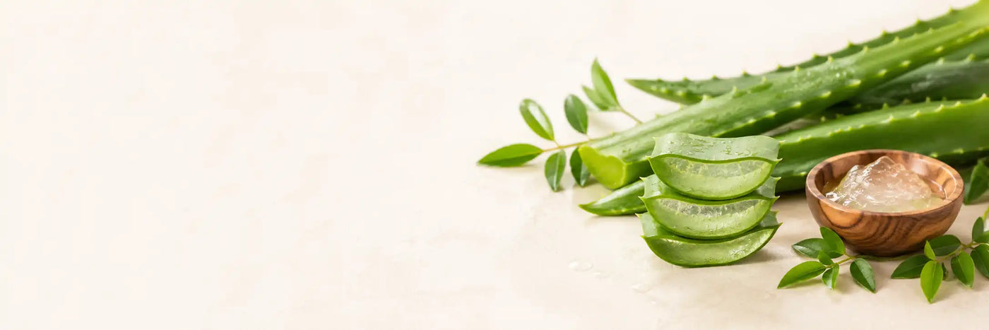 Aloe Vera