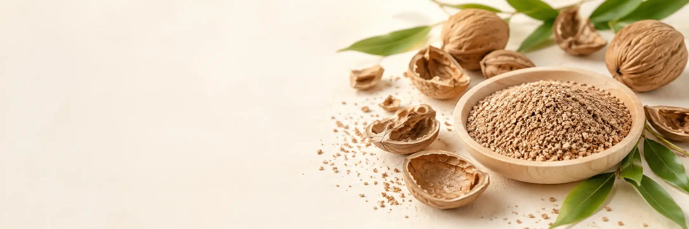 Walnut Shell